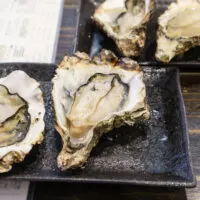 How To Cook Oysters On The Grill