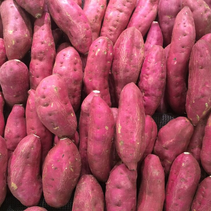 How to Cook Red Potatoes on the Stove