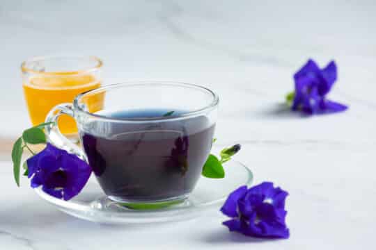 What Is Butterfly Pea Tea Taste Like