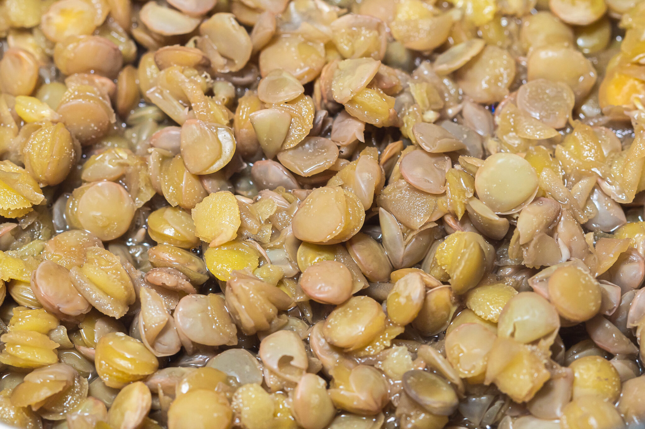 how-long-to-cook-lentils-in-instant-pot