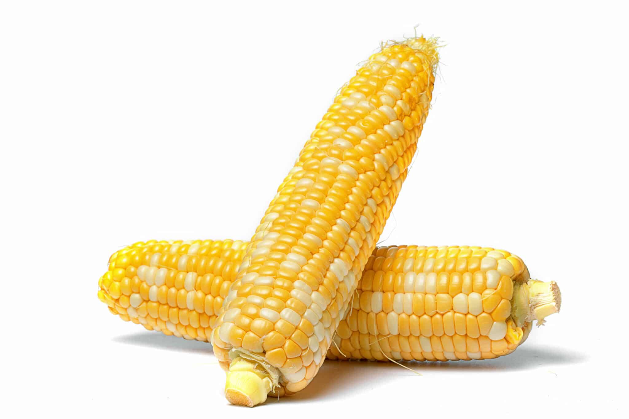 How To Cook Sweet Corn On The Cob (2)