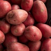 red potatoes in bowl