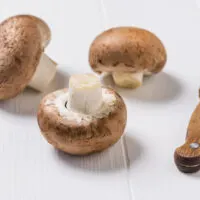 Button Mushroom Substitute