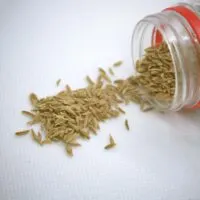 Can You Substitute Ground Cumin For Cumin Seeds