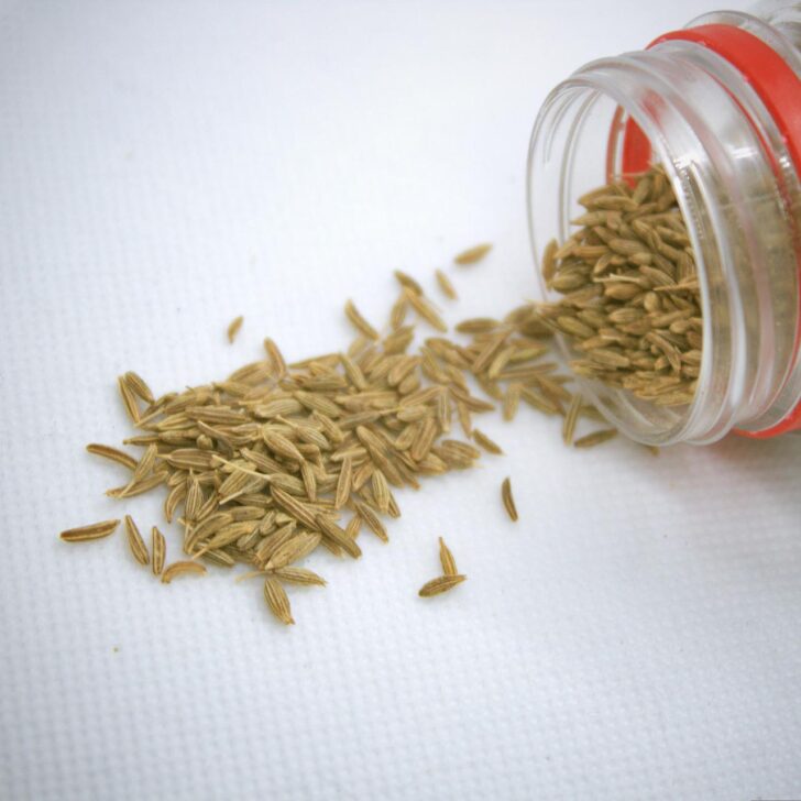 Can You Substitute Ground Cumin For Cumin Seeds