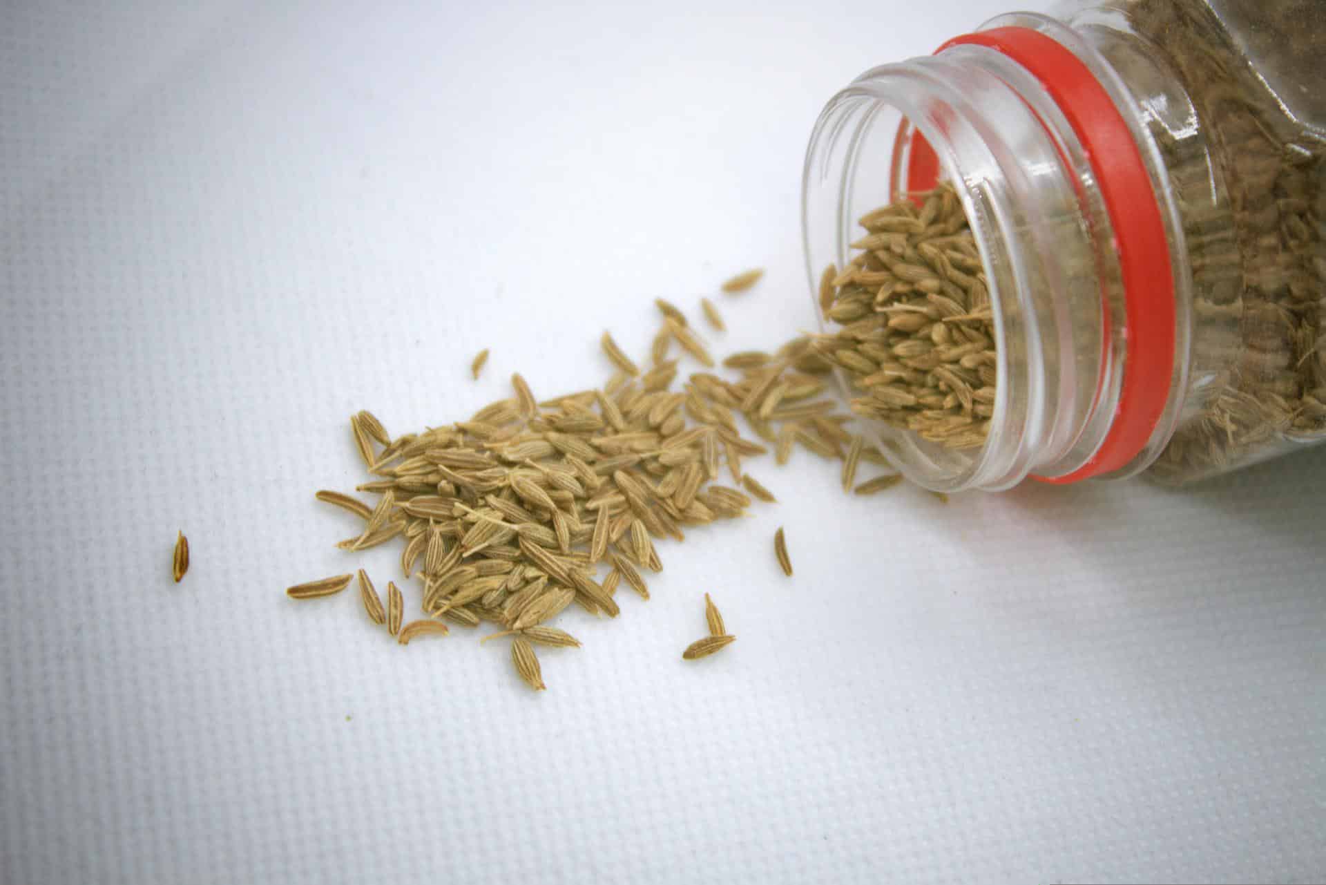 Can You Substitute Ground Cumin For Cumin Seeds