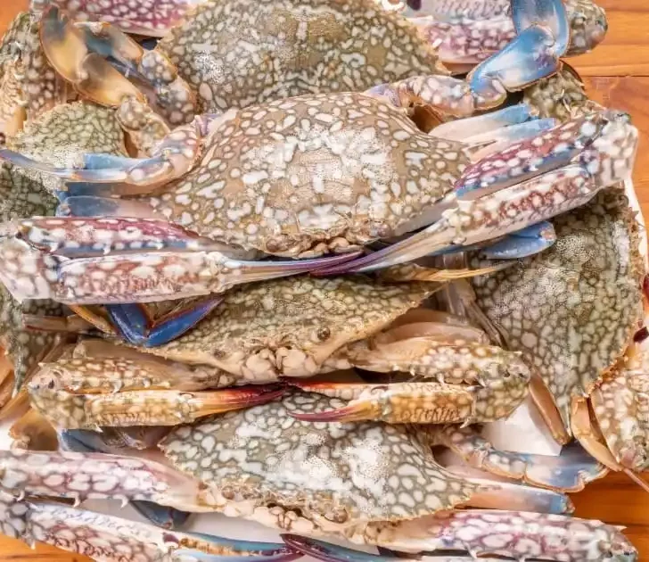 Blue crab on cutting board.