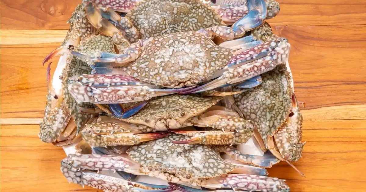 Blue crab on cutting board.