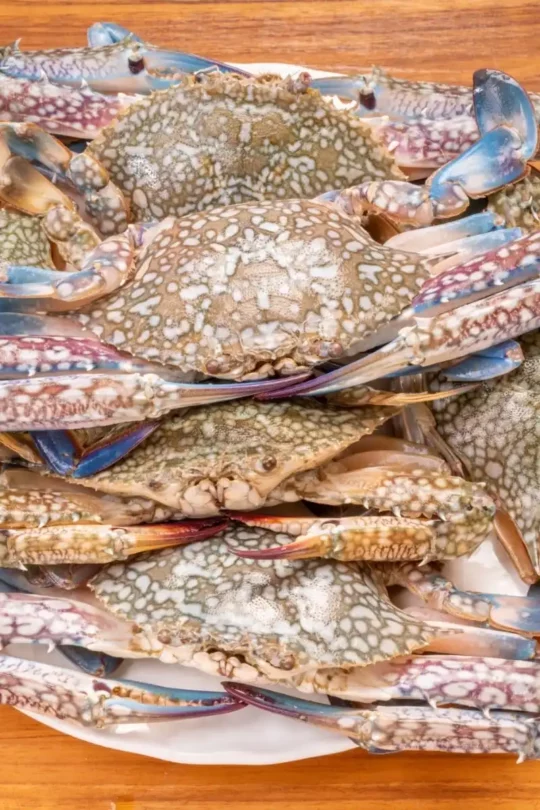 Blue crab on cutting board.