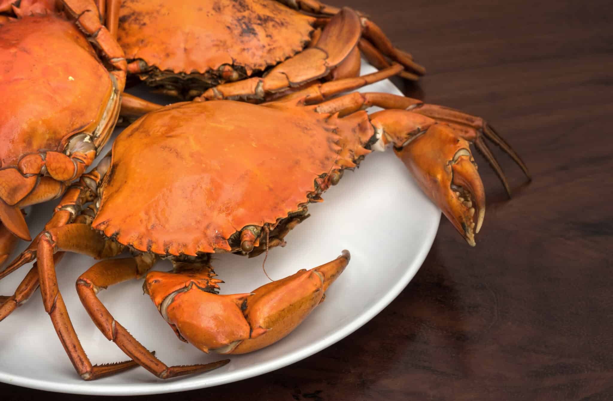 how-long-to-cook-dungeness-crabs