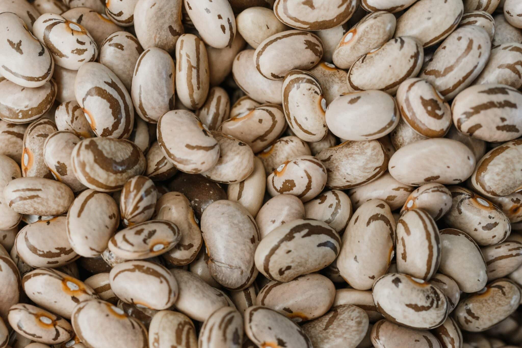 how-long-to-cook-pinto-beans-on-stove