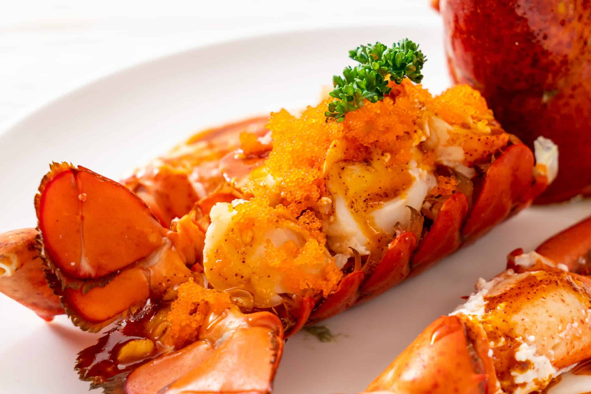 How Long does Lobster take to Cook