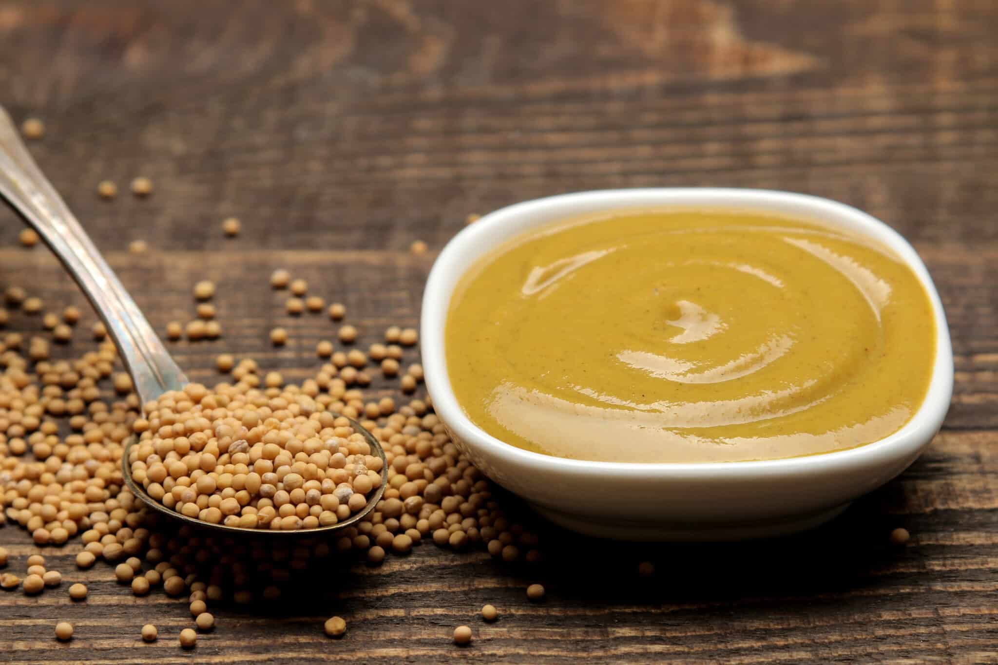 Spicy Brown Mustard Substitute BlogChef