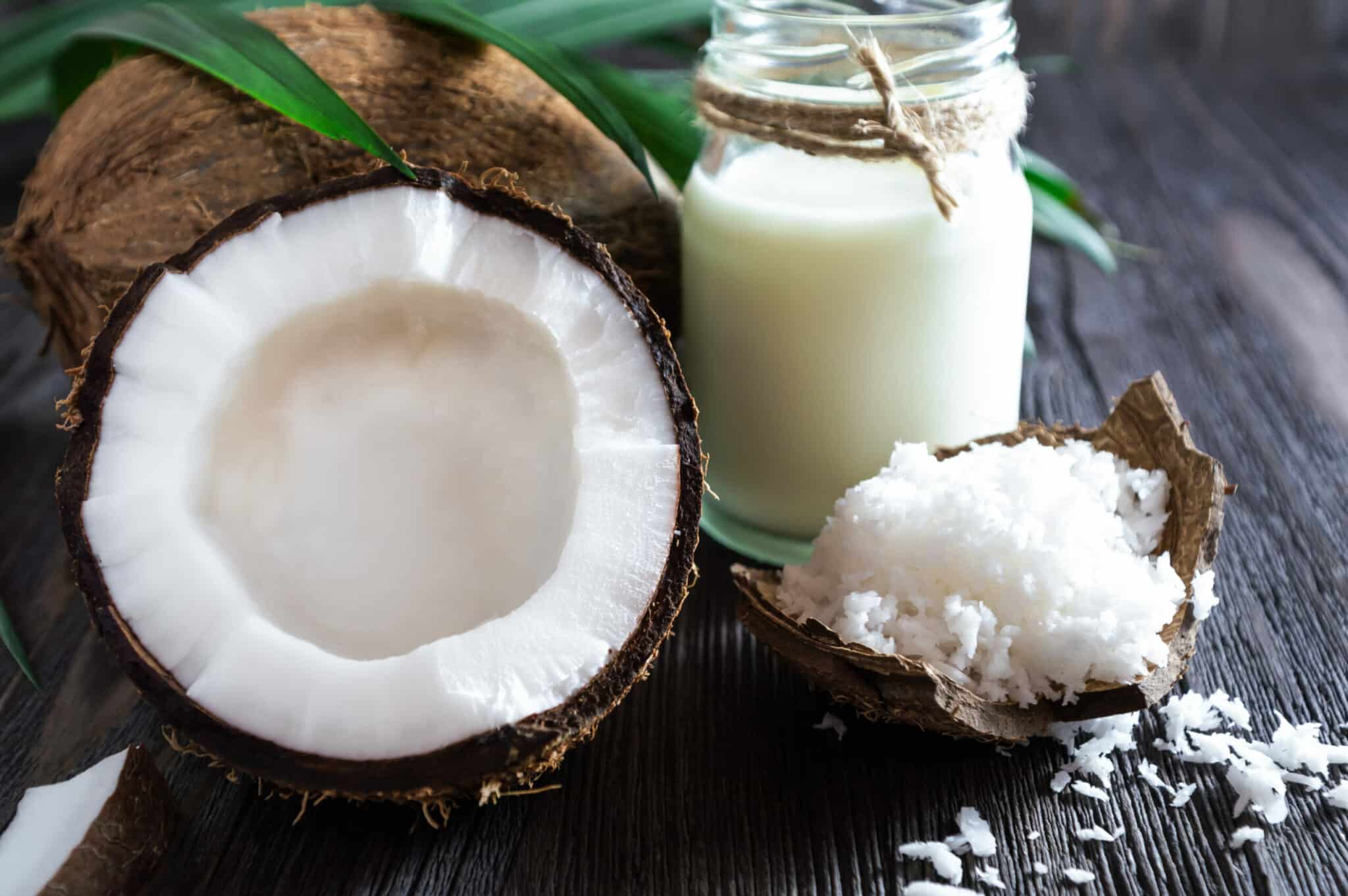 What Can I Substitute For Coconut Milk