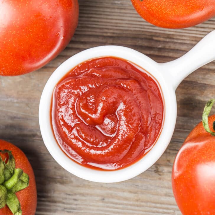 Can I Substitute Tomato Puree for Tomato Sauce