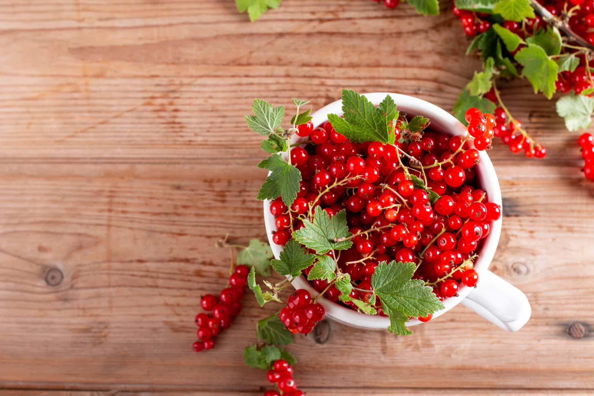 What Do Currants Taste Like?