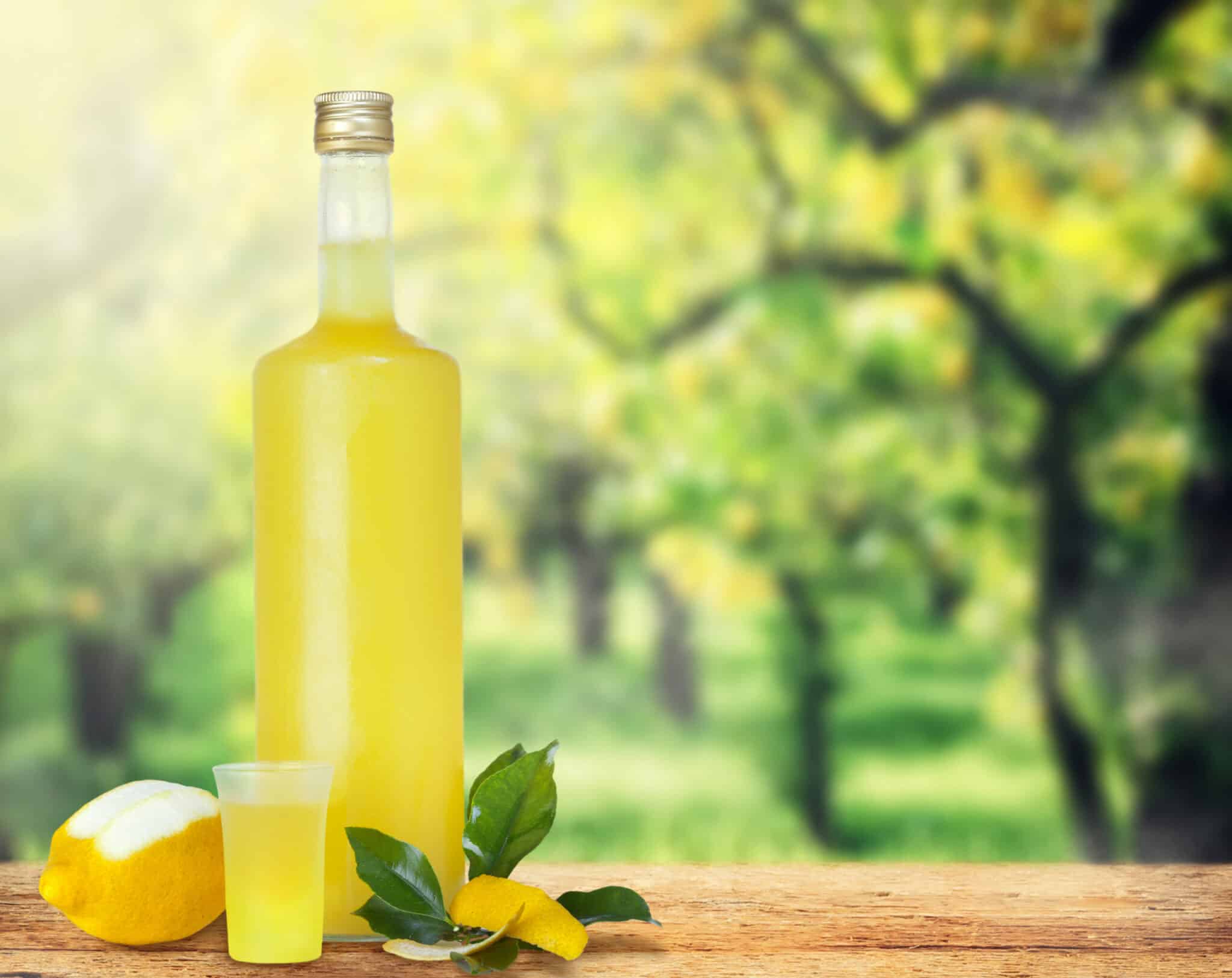 What Does Limoncello Taste Like