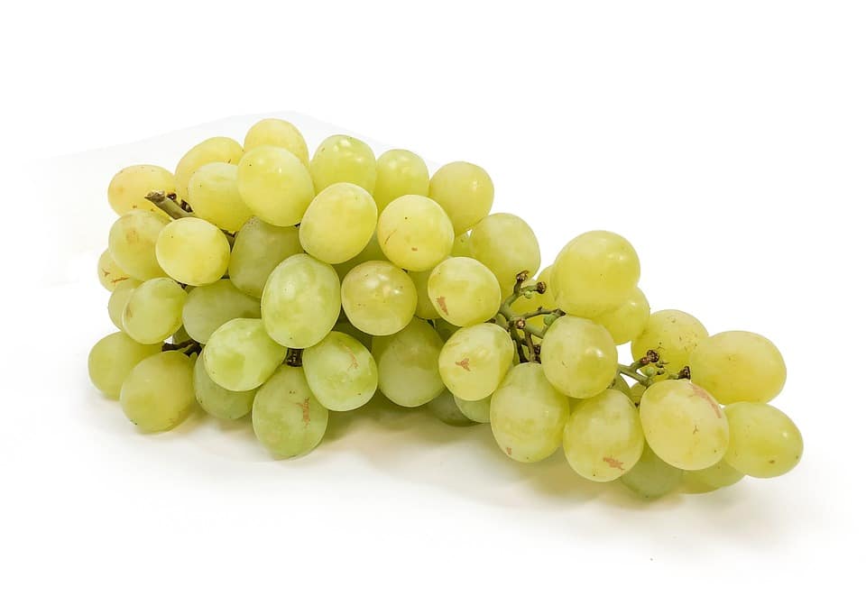 what-are-cotton-candy-grapes