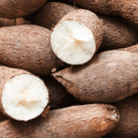 Close up view of tapioca root, cut in half.