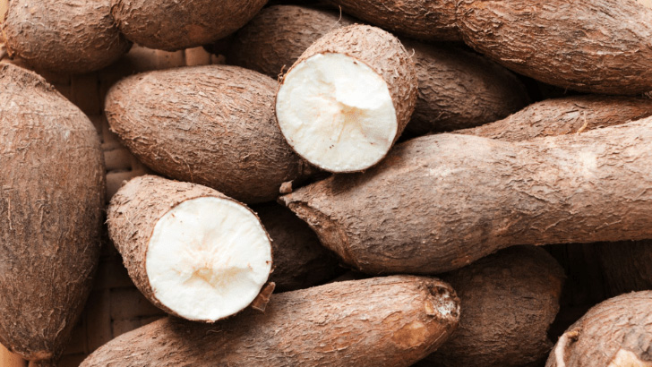 Close up view of tapioca root, cut in half.