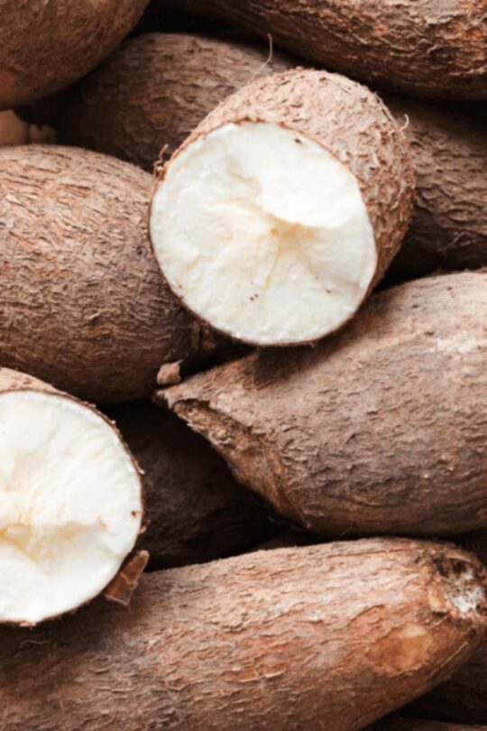 What does tapioca taste like? - BlogChef