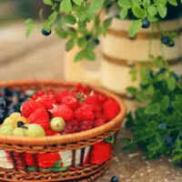 Basket of raw food next to herbs on table, to represent raw chef concept.