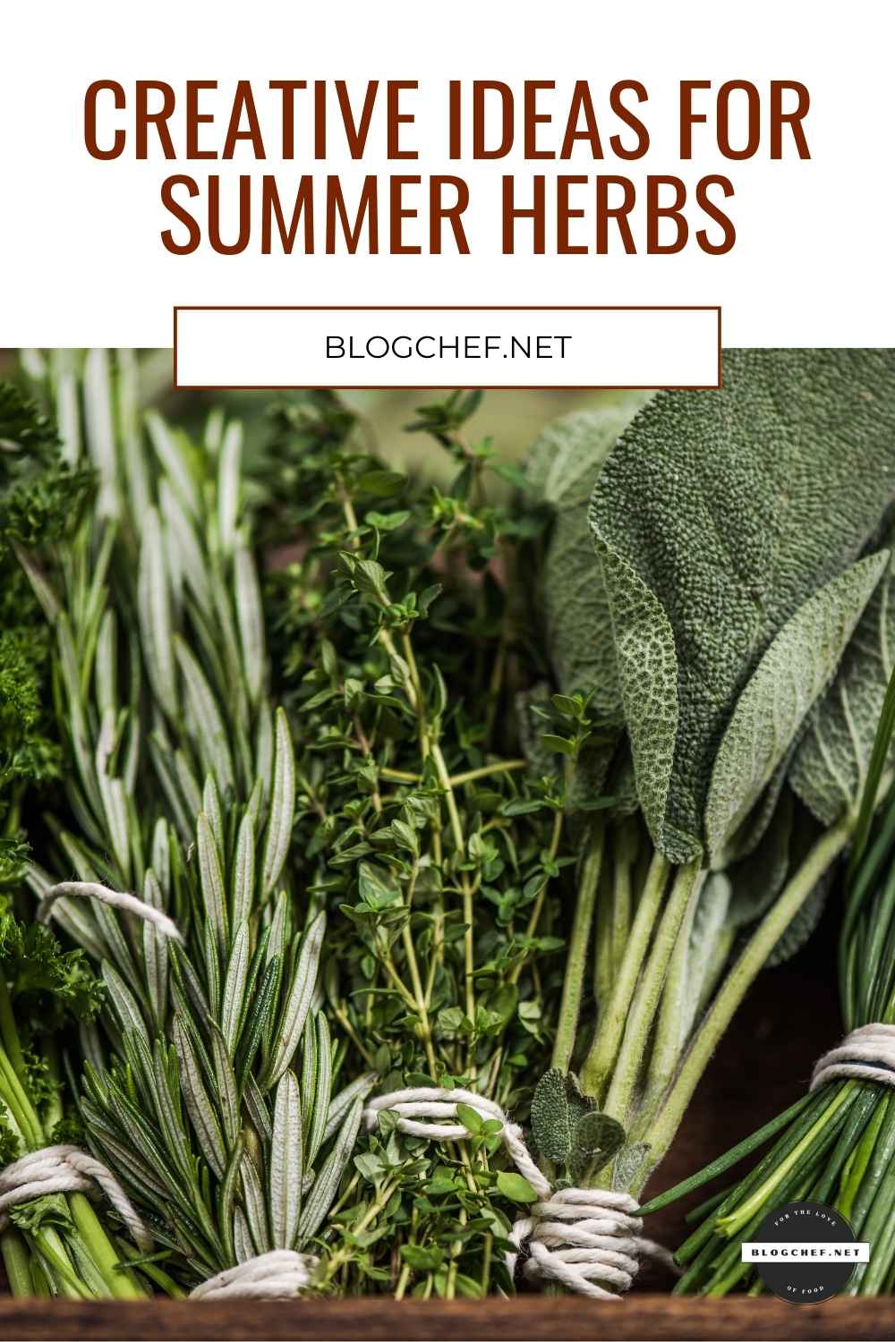 bunches of herbs tied together