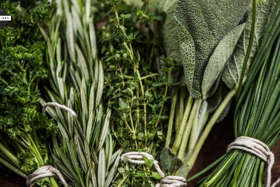 a bunch of herbs tied together
