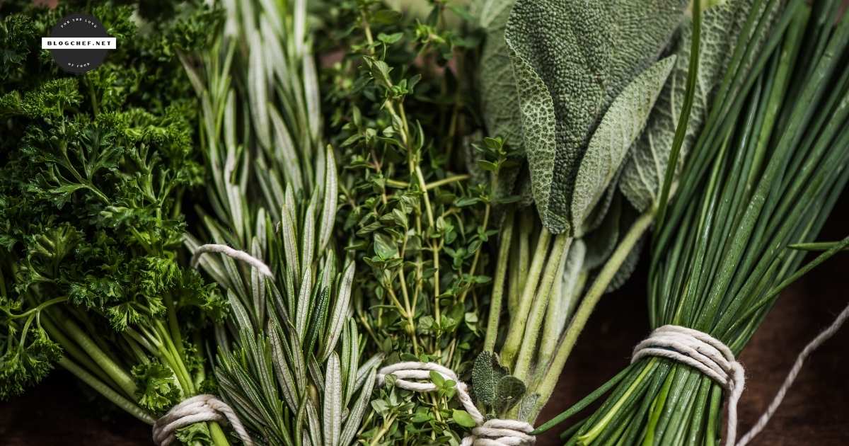 a bunch of herbs tied together