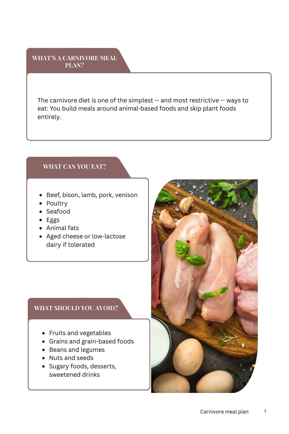 Carnivore meal plan download