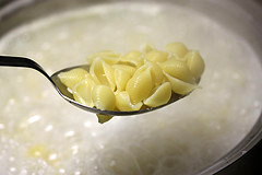 Shell pasta cooking in boiling water