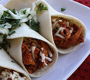 Close up shredded chicken tacos on plate