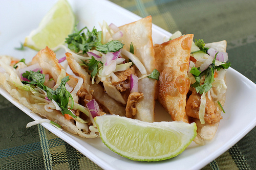 Chicken wonton tacos with cilantro and cabbage